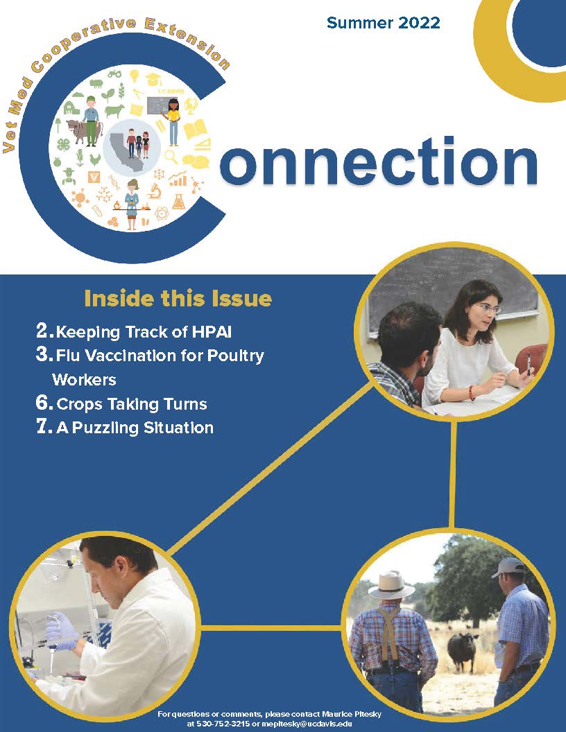 Cover Page of the Summer 2022 Newsletter